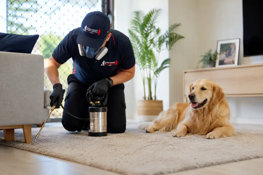 Professional specialised treatment service in Perth